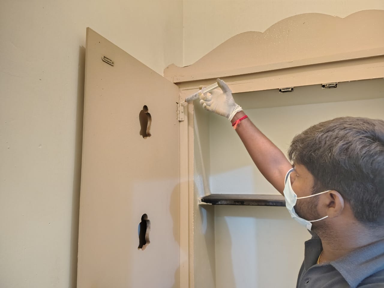 Pest Control Service